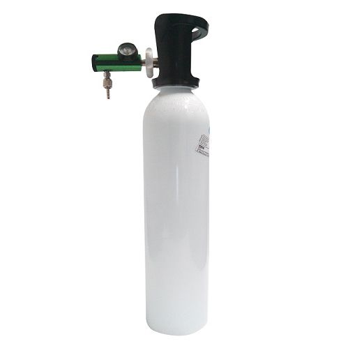 994 1 1 1520990785 Portable Oxygen Cylinder 2lt for monthly rental